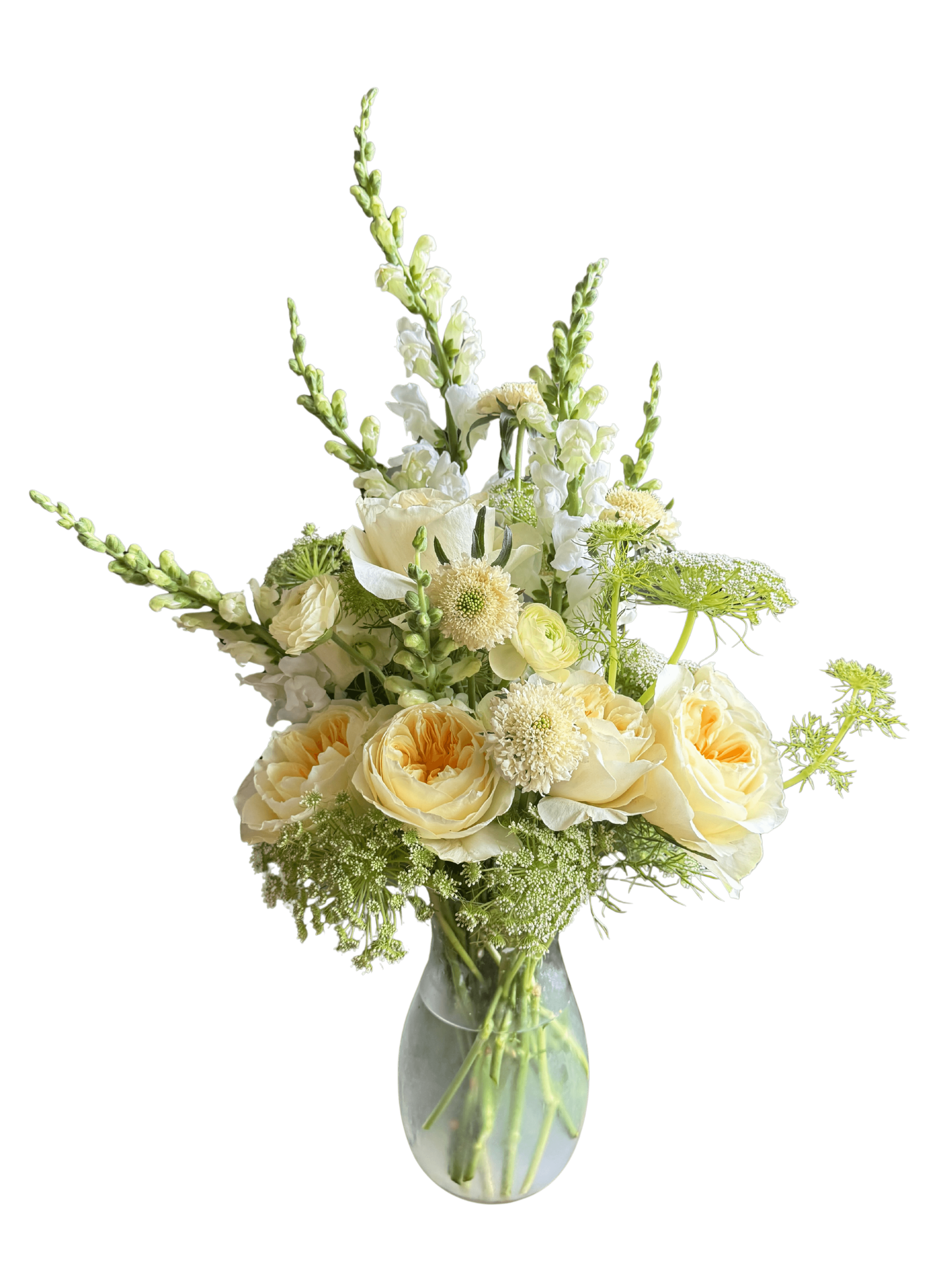 XL Arrangement